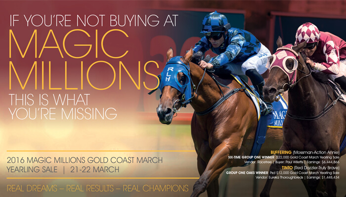 Gold Coast March Yearling Sale Approaches