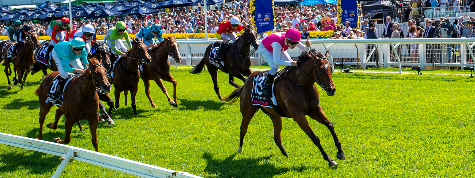 2024 The Star Gold Coast Magic Millions Raceday - Magic Millions