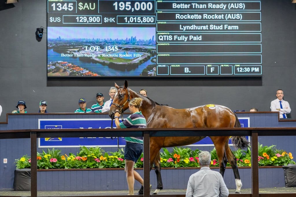 Gold Coast Yearling Sales 2024 Dorri Maible