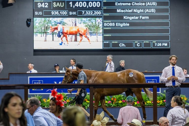 2024 Gold Coast Yearling Sale Magic Millions