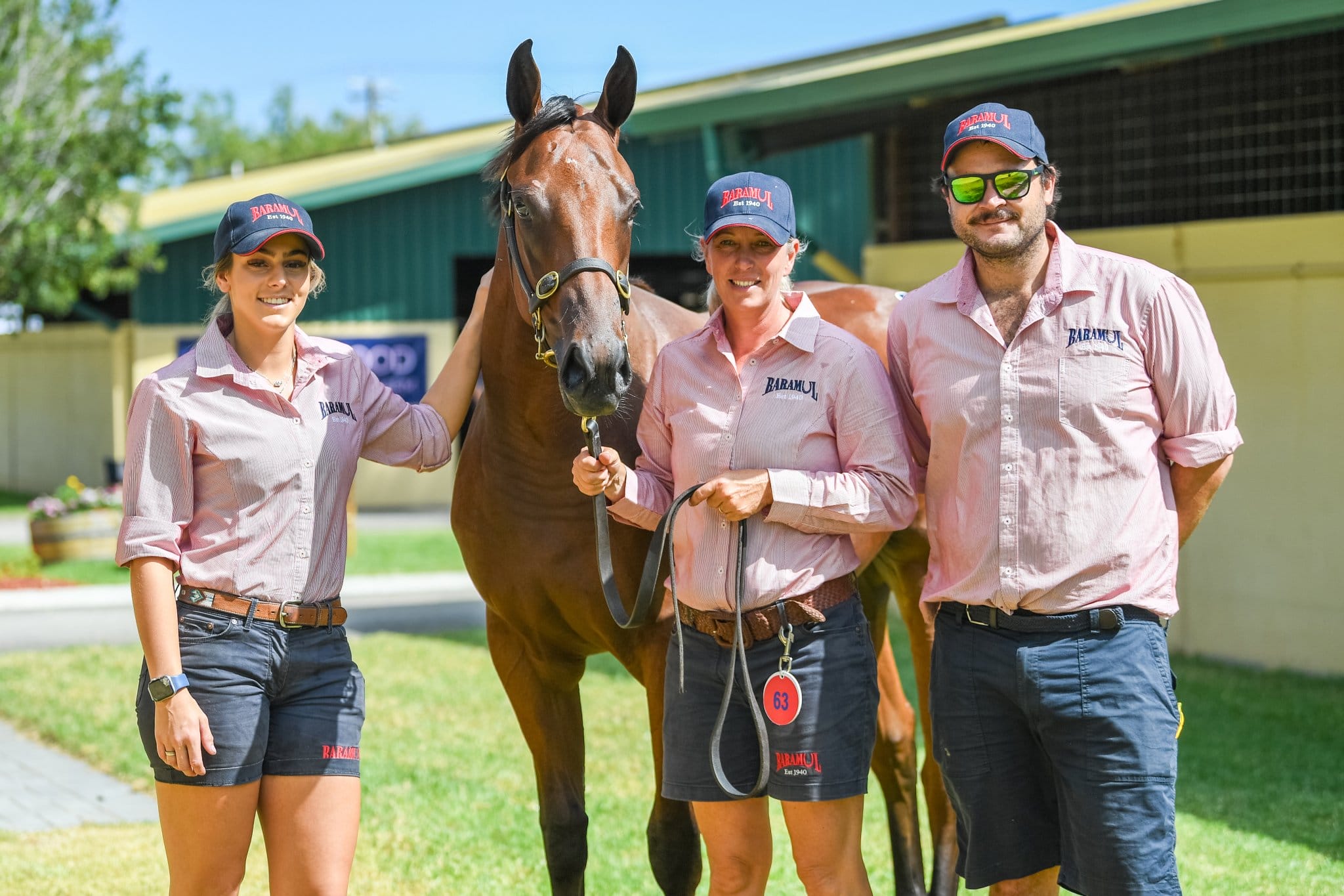 2024 Adelaide Yearling Sale Magic Millions