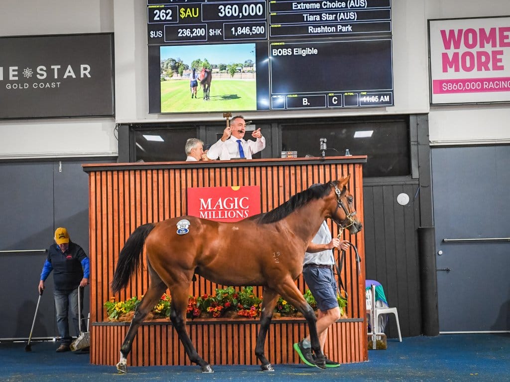 Extreme Choice Colt Tops Final Day in Adelaide Magic Millions