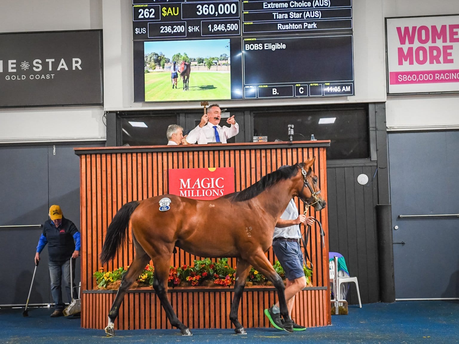 2024 Adelaide Yearling Sale Magic Millions