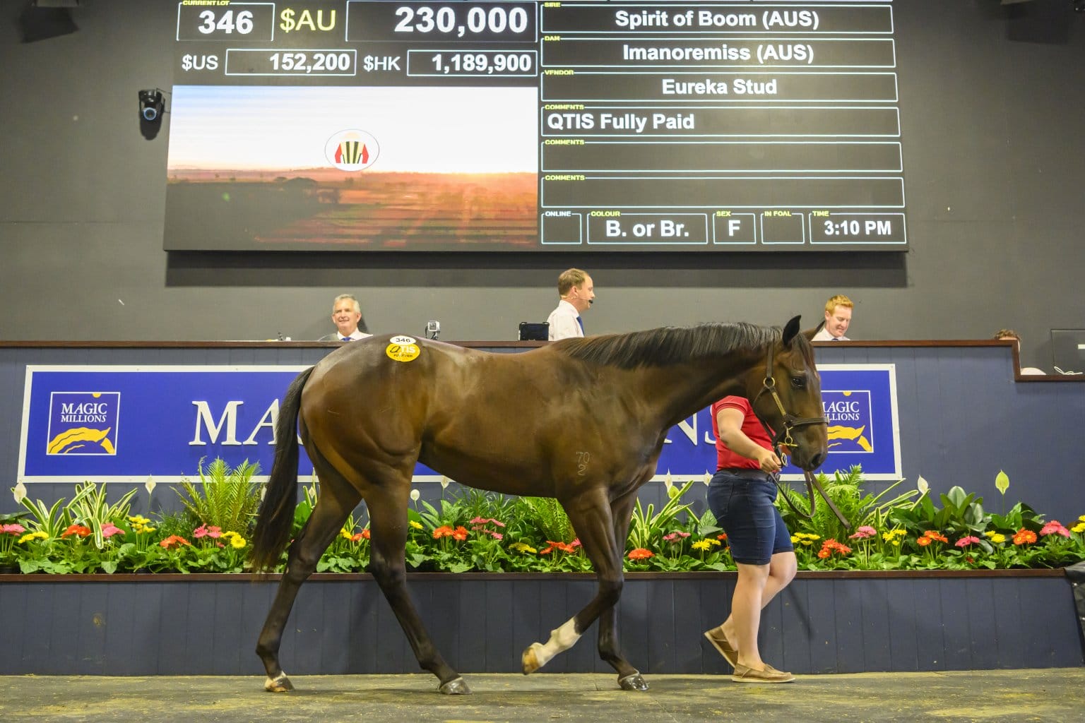 2024 Gold Coast March Yearling Sale Magic Millions