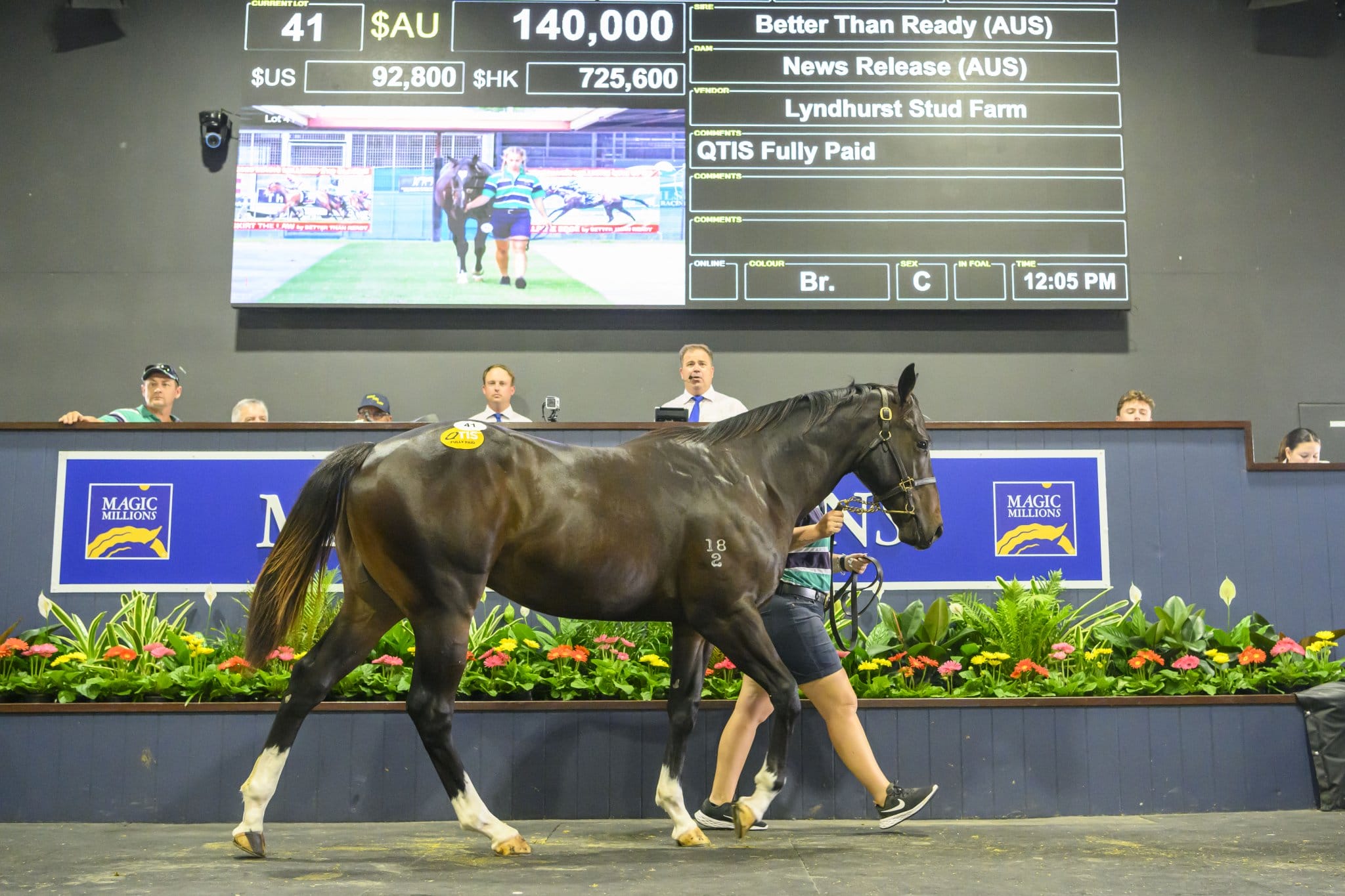 2024 Gold Coast March Yearling Sale Magic Millions