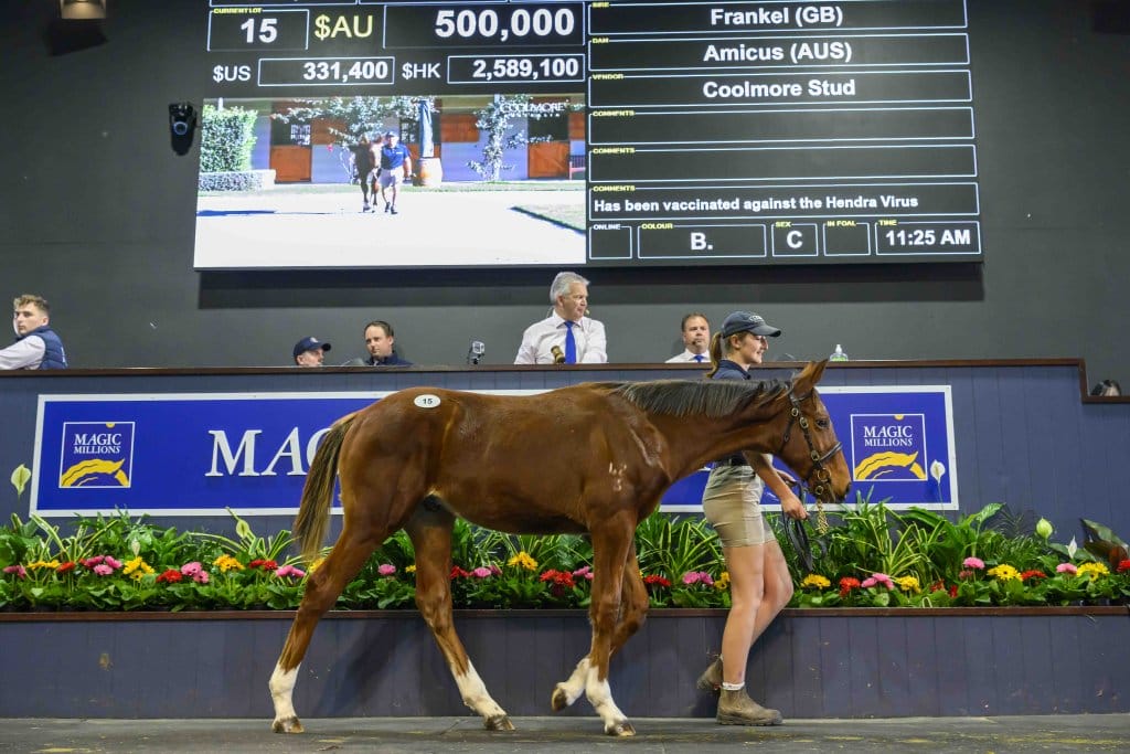 Frankel Youngsters Lead the Way on Day One Magic Millions