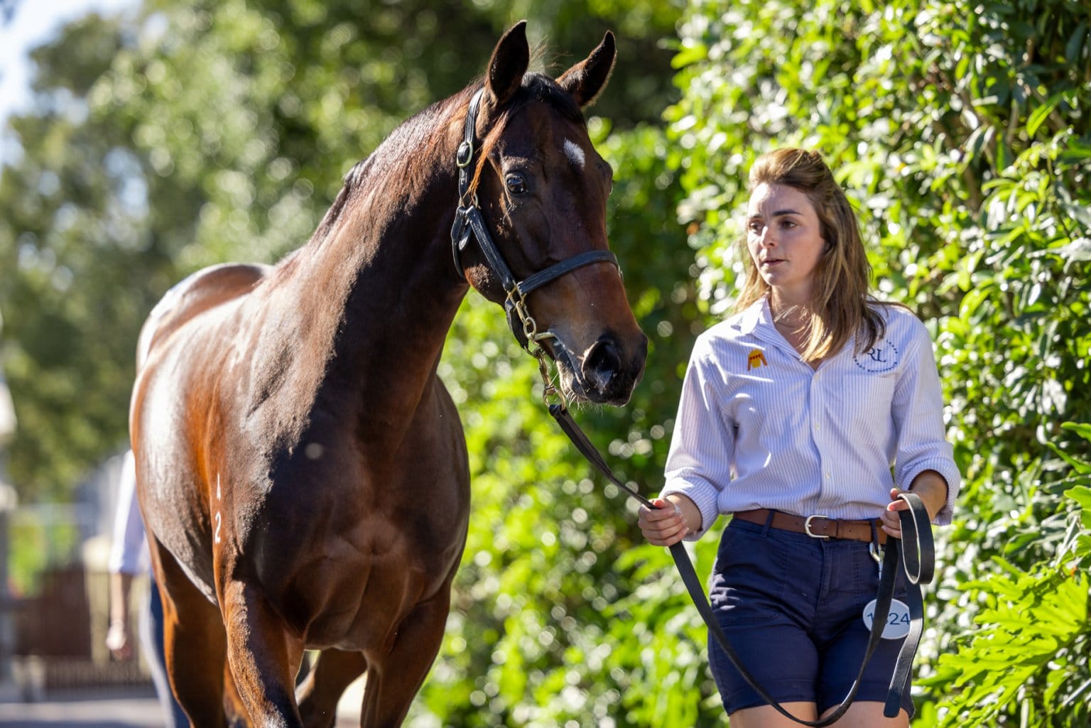 2024 Gold Coast National Yearling Sale Magic Millions