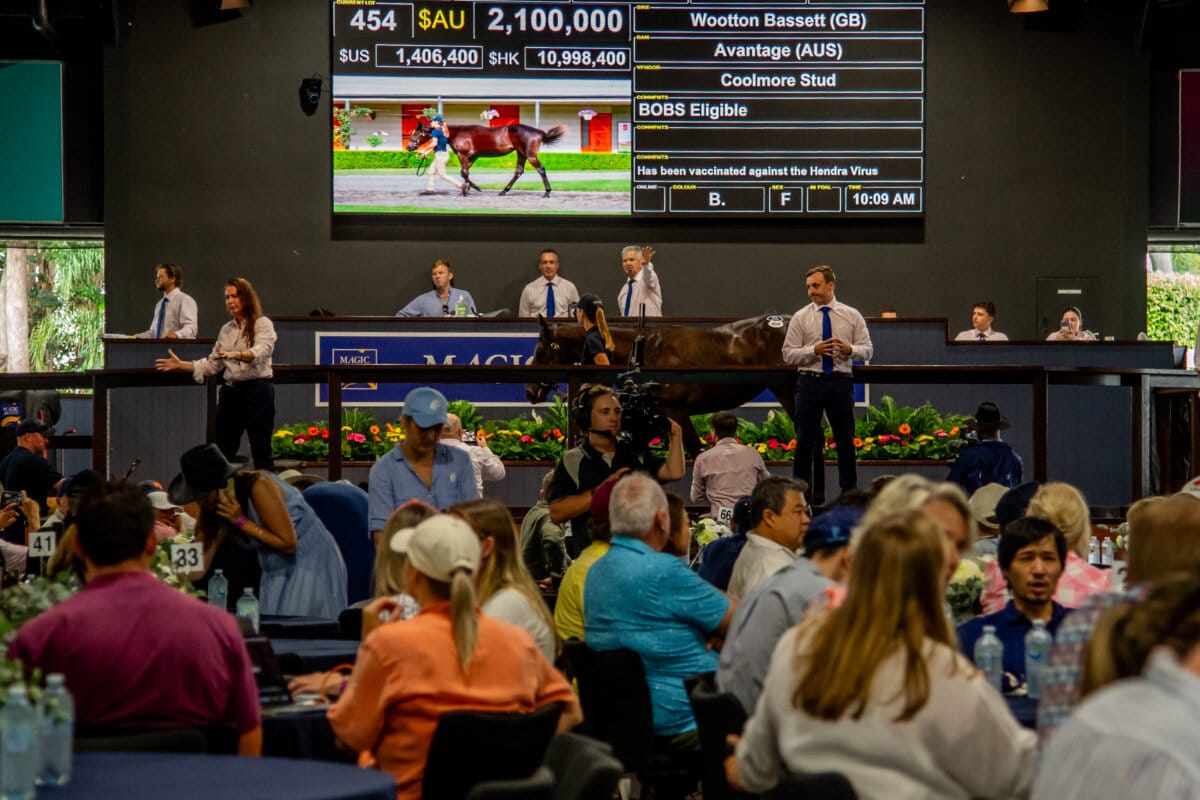 Entries Open for Magic Suite of 2025 Yearling Sales