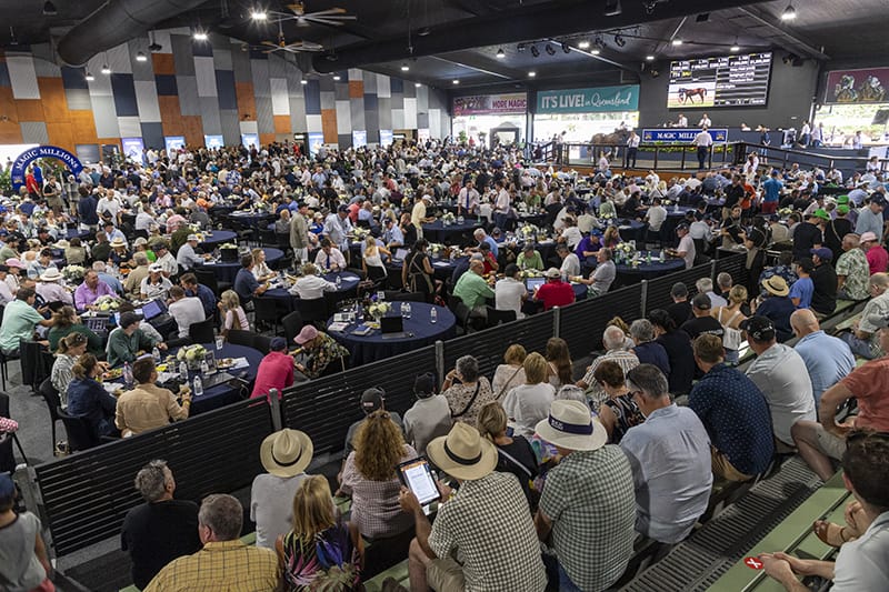 New Friday Super Session for 2025 Gold Coast Yearling Sale