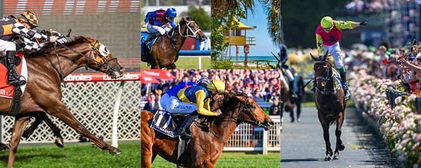 World Class Catalogue for 2025 Gold Coast Yearling Sale