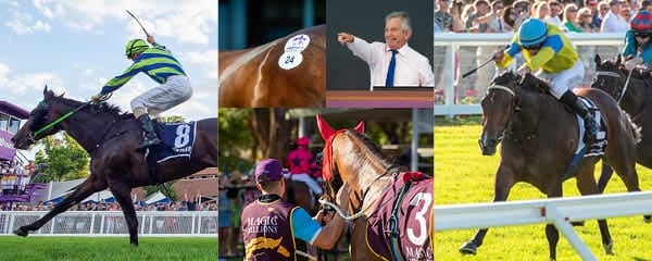 West is Best – 2025 Perth Yearling Catalogue Online