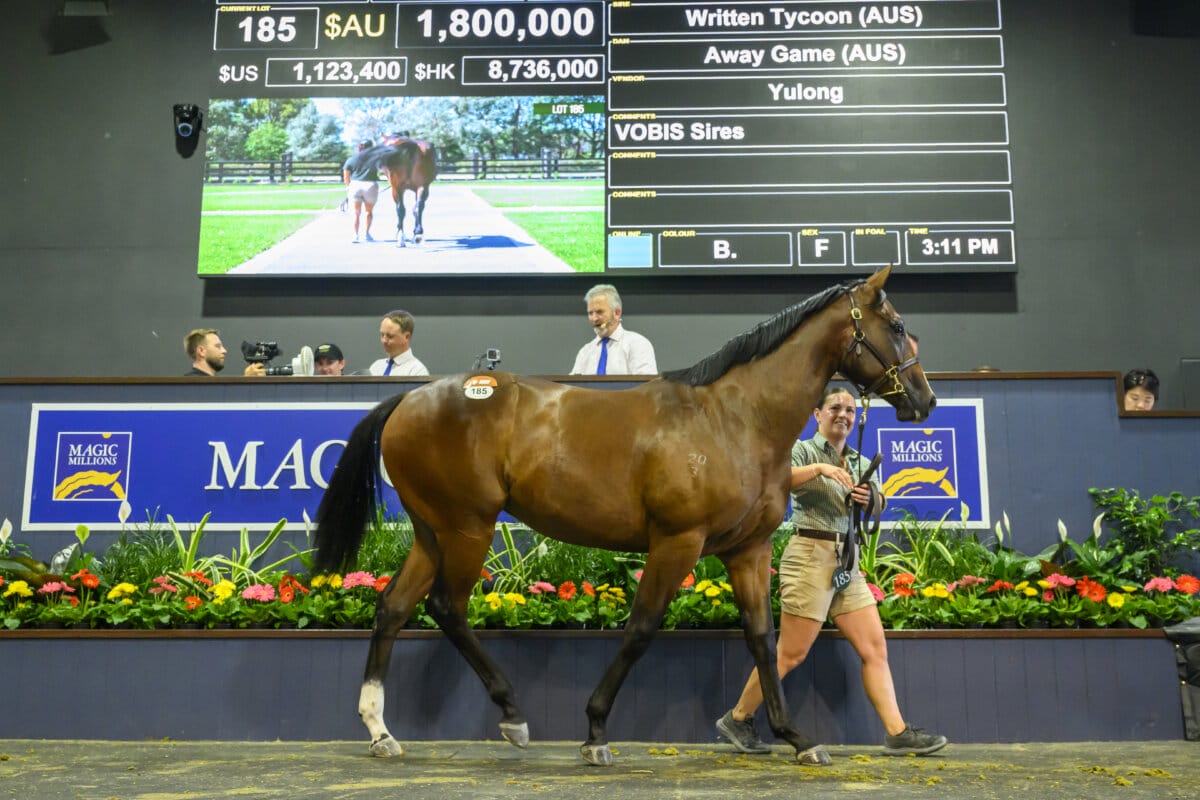 Away Game Filly on Top on Day One on Gold Coast