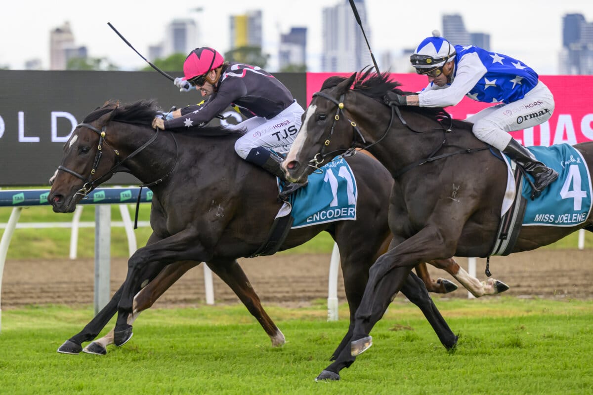 Freedman Snares Subzero as Encoder Scores Magic Win