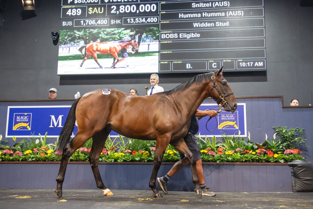 All Time Record Price at Gold Coast Yearling Sale