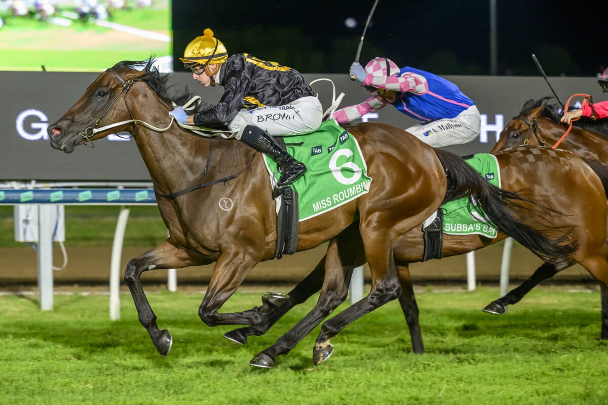 Miss Roumbini Storms to Victory in Fillies & Mares