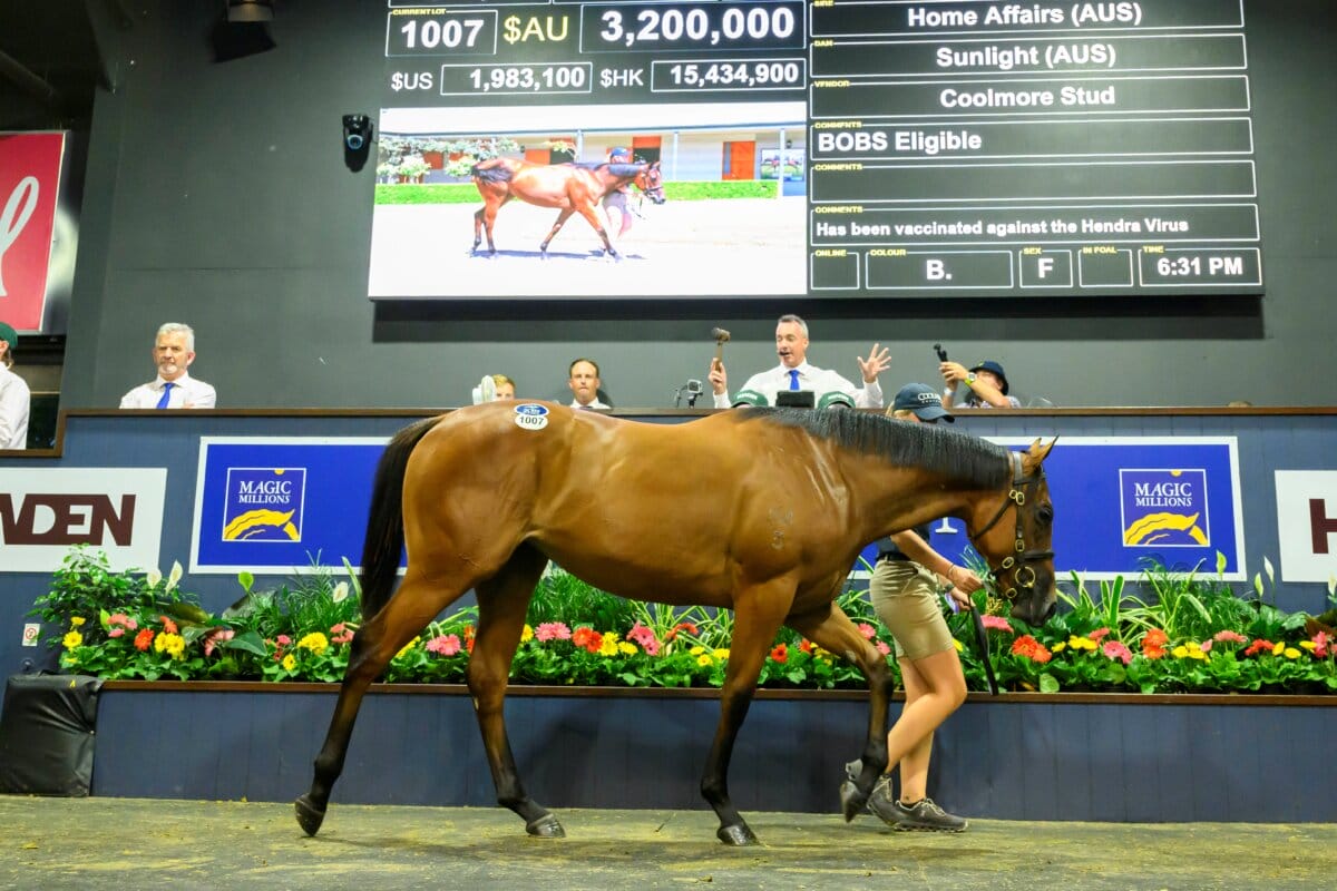 Magic Millions Record Smashed as Sunlight Filly Sparkles