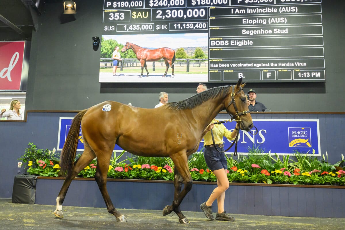 In Secret’s Sister Shoots to the Top on Gold Coast