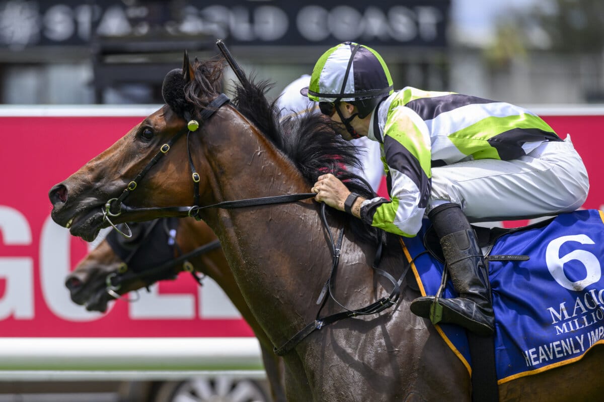 Locals Strike as Heavenly Impact Wins Magic Maiden