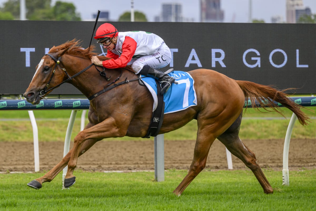 Punters Cheer as Jimmy Slips Away for Country Cup Win