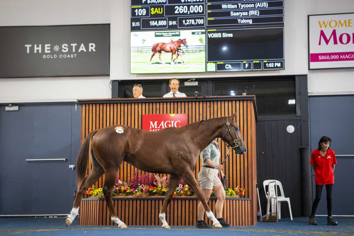 Written Tycoon Filly Tops Adelaide Yearling Opener