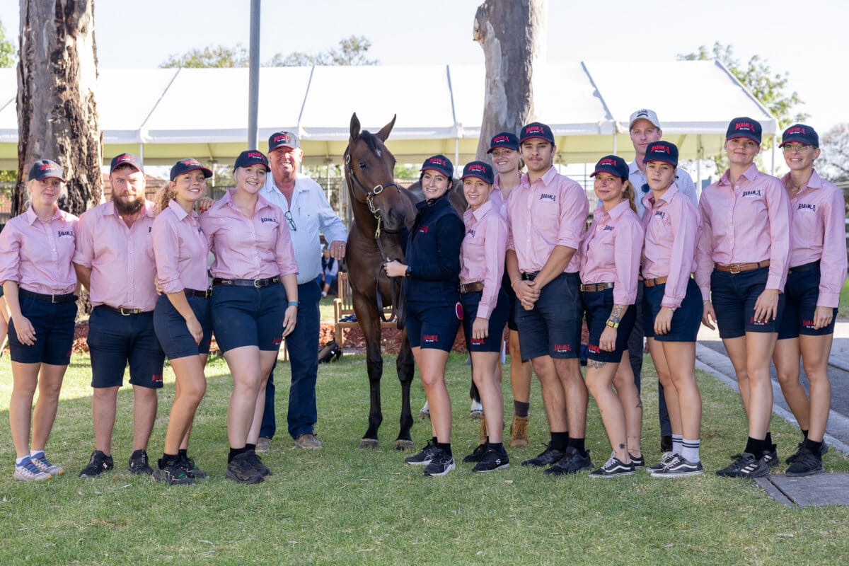 Zoustar Filly on Top at Adelaide Yearling Sale